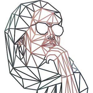 Meet your Posher, Kimia